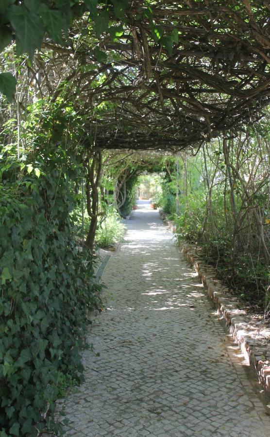 Canavial Garden (Adults Only) Λάγος Εξωτερικό φωτογραφία